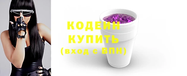 гашик Лабытнанги
