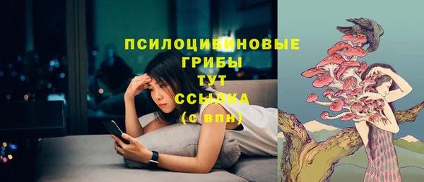 СК Заводоуковск