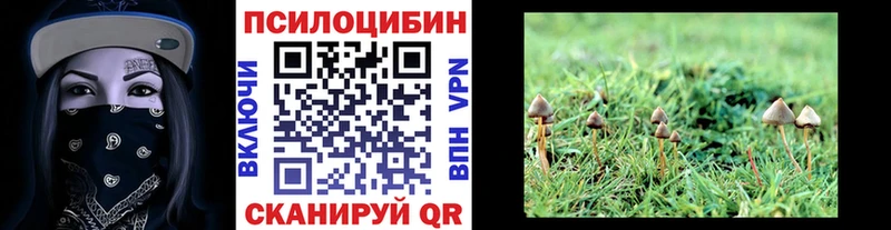 Галлюциногенные грибы прущие грибы  ссылка на мегу ссылки  Волгодонск 