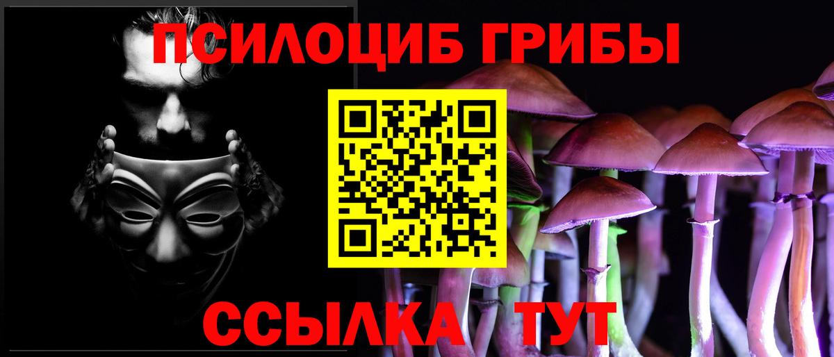 Псилоцибиновые грибы мицелий  Вход с VPN  Галлюциногенные грибы GOLDEN TEACHER  Волгодонск 